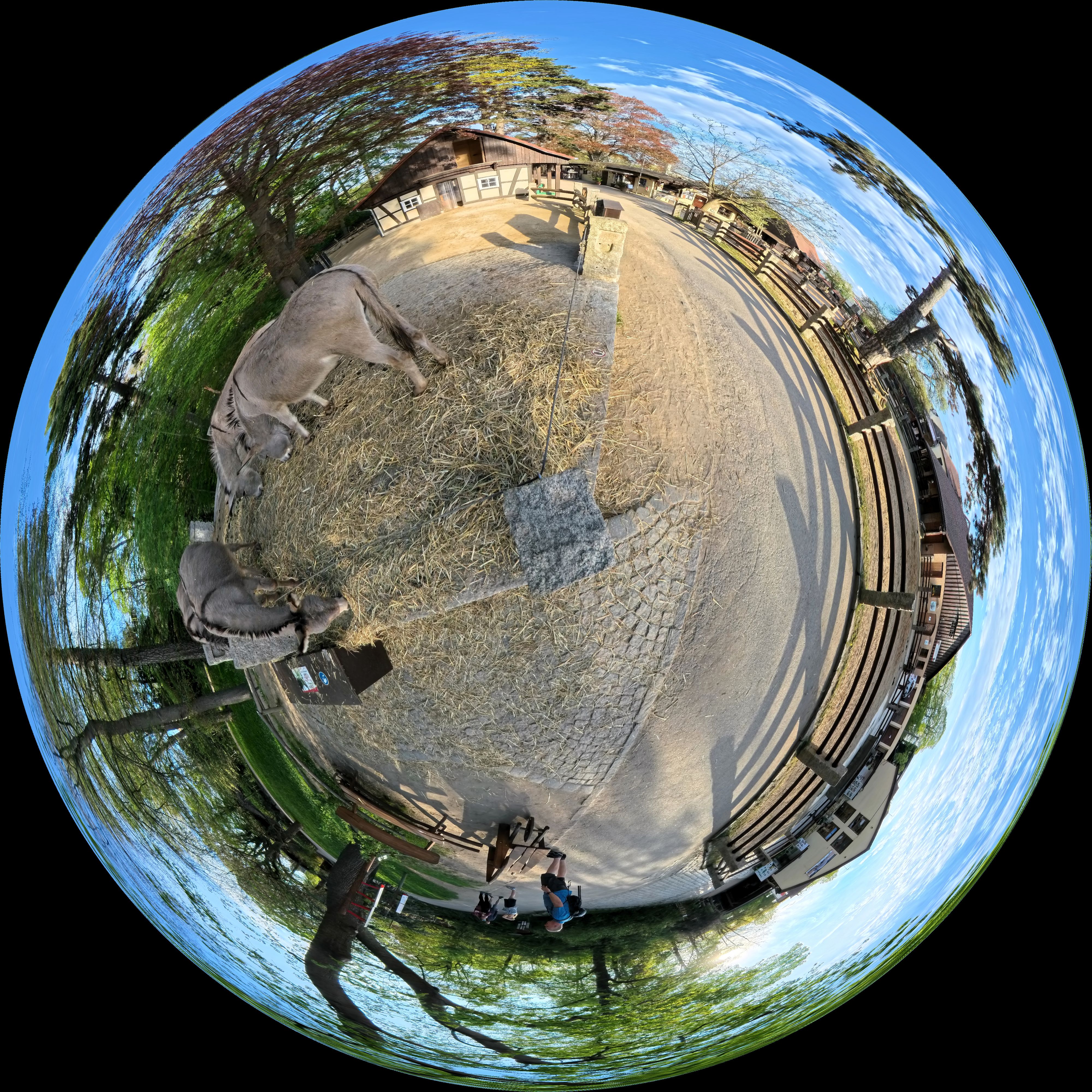 Equirectangular