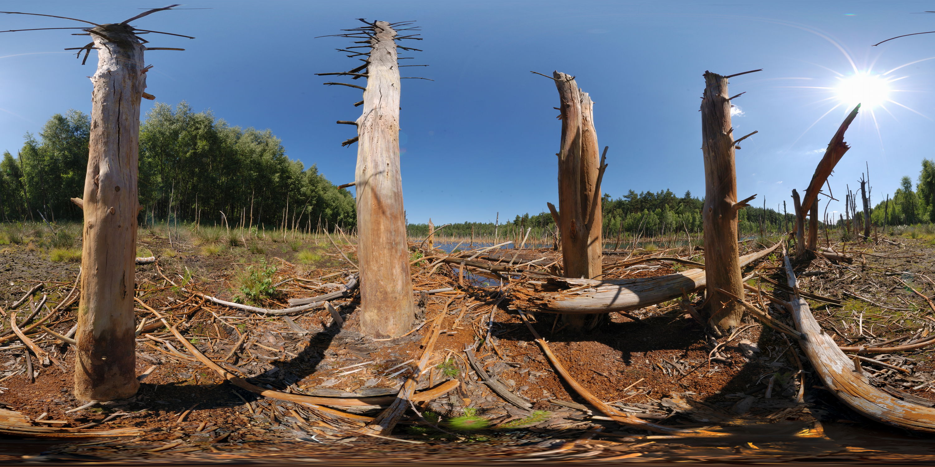 Equirectangular