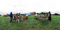 Eseltreffen 2008