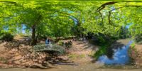 Inselteich