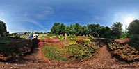 Der Heidegarten